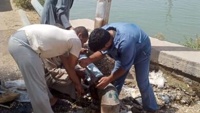 Photo of استجابة لما نشره الشارع القنائي: إصلاح تسريب مياه كوبري العاقولا بحجازة قوص