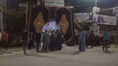 Photo of إقبال كبير قبيل غلق لجان النواب بنجع حمادي