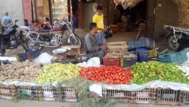Photo of أسعار الخضروات والفاكهة في أسواق الوقف