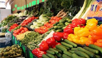 Photo of ارتفاع أسعار الخضروات والفاكهة في اسواق المراشدة