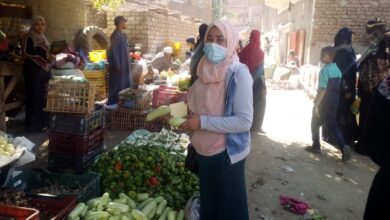Photo of صور ..شكاوى من ارتفاع أسعار الخضروات في “المراشدة”