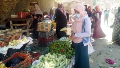 Photo of الطماطم بـ 15جنيه .. ارتفاع أسعار الخضروات والفاكهة في أسواق المراشدة