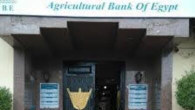 Photo of “نقيب فلاحين قنا” يثني على مبادرة البنك الزراعي لتسوية ديون المزارعين