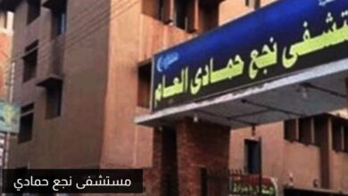 Photo of ننشر إنجازات مستشفى نجع حمادي العام خلال العام المنقضي