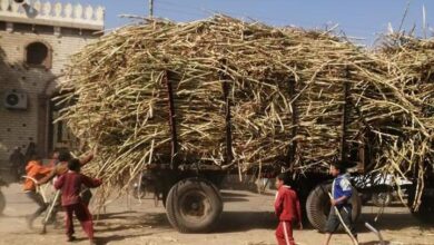 Photo of مصرع طفل صدمته مقطورة قصب في أبوتشت