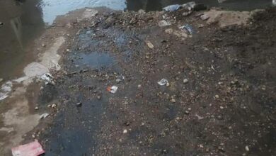 Photo of مياه الصرف الصحي تغمر حي الشيخ لبيب بقوص ومطالبات بسرعة إنهاء الأزمة