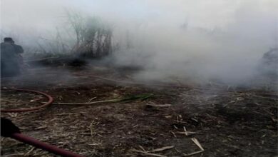 Photo of السيطرة على حريق نشب في مزرعة جوافة بنقادة 
