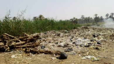 Photo of بالصور ..أهالي “نجع مكي” في الوقف:” حياتنا في خطر بسبب القمامة والنفايات”