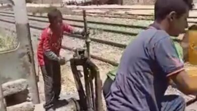 Photo of بالصور ..أطفال يديرون مزلقان أبوشوشة للسكة الحديد بأبوتشت
