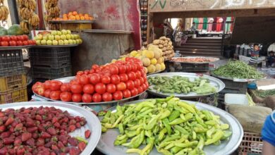 Photo of 20% ‏زيادة في أسعار الخضر والفاكهة في أول أيام رمضان بقنا