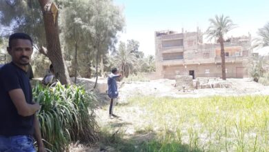 Photo of أهالي “العُقب” في قوص يطالبون بنقل مشروع الصرف الصحي خارج الكتلة السكنية