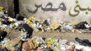 Photo of شكاوى في دشنا من انتشار القمامة حول مدرستي الصناعية بنات والإعدادية القديمة