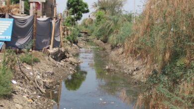 Photo of بالصور |مزارعو “المراشدة” يشتكون من نقص مياه الري