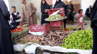 Photo of أسعار الخضروات والفاكهة في سوق الخميس بالمراشدة