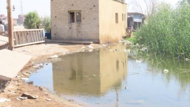Photo of مياه النيل تحاصر عدد من المنازل بجزيرة نجع مكي في المراشدة.. صور