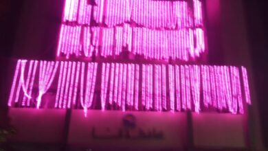 Photo of إضاءة مبنى محافظة قنا باللون الوردي تزامنا مع اليوم العالمي لـ”سرطان الثدي”