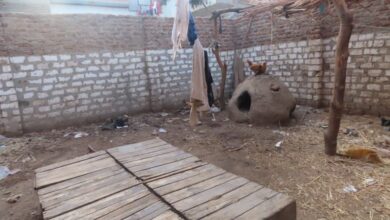 Photo of شكوى مواطنة لبناء دوره مياه في بيتها