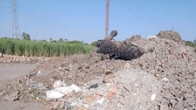 Photo of كوبري قرية “الخرانقة” يتحول إلى مقلب قمامة في قوص.. صور
