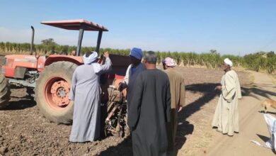 Photo of زراعة 50 فدان قمح ضمن مشروع تعزيز المرونة المناخية بحجازة قبلي
