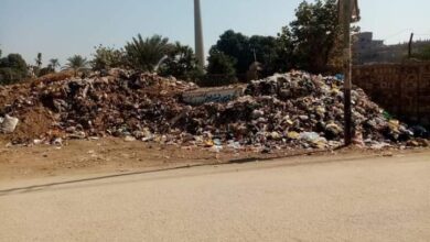 Photo of “أكوام القمامة” تثير غضب الأهالي بقرية الخضيرات في نجع حمادي
