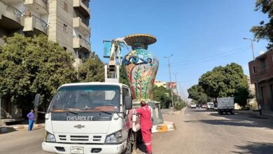 Photo of تنظيف الجداريات وزراعة الزهور ضمن خطة تجميل مدينة قنا