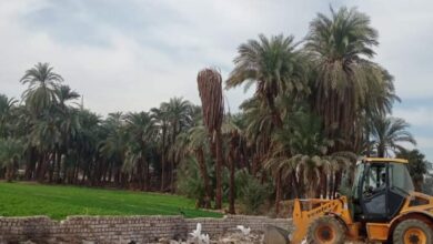 Photo of رفع 1228 متر مخلفات وتحرير 63 محضر نظافة خلال الأسبوع بقرى مركز قنا
