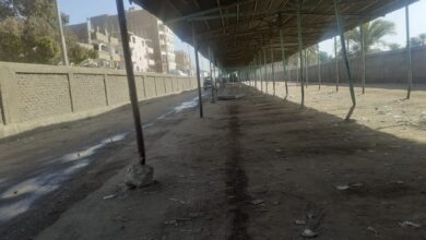 Photo of بسبب وقف التراخيص.. إضراب سائقو سيارات “الكبود” في حجازة بقوص