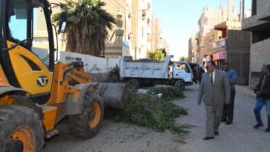 Photo of السكرتير العام يقود حملة نظافة مكبرة بمركز قوص 