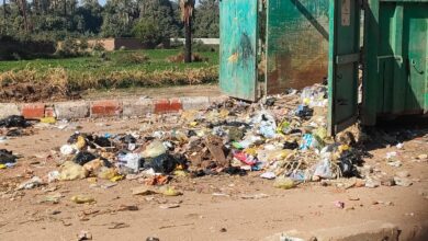 Photo of القمامة تحاصر الحاويات في شوارع مدينة الوقف.. صور