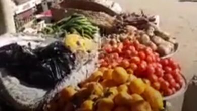 Photo of الطماطم بـ5 واليوسفي كيلو ونصف بـ10.. ننشر أسعار الفاكهة والخضروات في أبوتشت