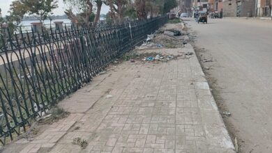 Photo of شوارع دشنا تتحول إلى صناديق مفتوحة للقمامة ومخلفات القصب.. صور