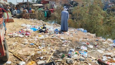 Photo of القمامة ومخلفات قصب القصب تغطى شوارع مدينة دشنا وسط تجاهل المسؤولين.. صور