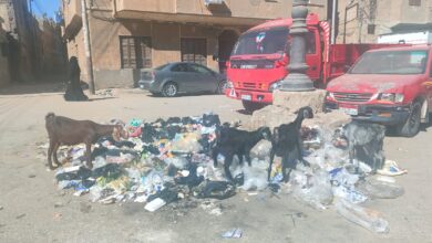 Photo of بالصور |القمامة عرض مستمر في شوارع دشنا.. والأهالي يستغيثون بالمحافظ