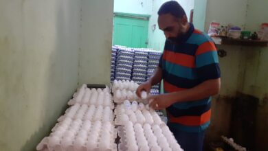Photo of مع أعياد شم النسيم| البيض بـ48 جنيهًا.. تعرف على الأسعار والأنواع قبل الشراء