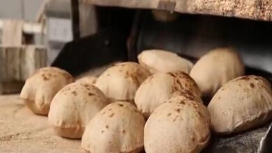 Photo of ضبط 19 مخالفة تموينية متنوعة في قنا ومخابز تثبت مبيعات وهمية على نظام الخبز