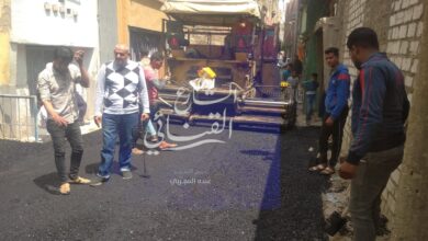 Photo of “تمساح”: بدء أعمال رصف 31 شارعا بدشنا ضمن خطة العام الجاري