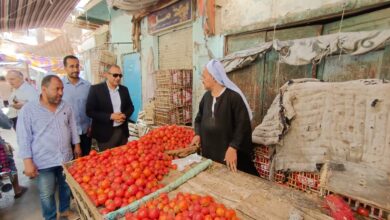 Photo of نقيب الفلاحين يكشف أسباب ارتفاع اسعار الطماطم ويعرض الحلول:”  جففوا الطماطم وهي ورخيصة”