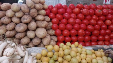 Photo of ورق العنب بـ25 جنيه ..تعرف على أسعار الخضروات بسوق الحميدات فى مركز قنا