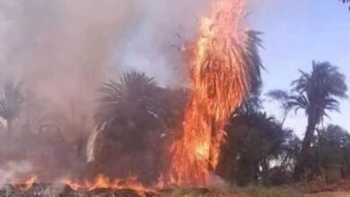 Photo of السيطرة على حريق نشب في عصارة قصب بقرية الحاج سلام بفرشوط