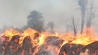 Photo of دون وقوع إصابات.. السيطرة على حريق نشب بعصارة قصب في قرية السليمات