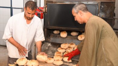 Photo of أهالي مدينة الوقف يطالبون التموين بتوفير الخبز بعد توقف 3مخابز عن العمل