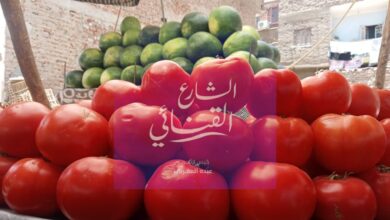 Photo of الطماطم تبدأ من 5 جنيهات.. انخفاض في أسعار الخضروات بنجع حمادي صور