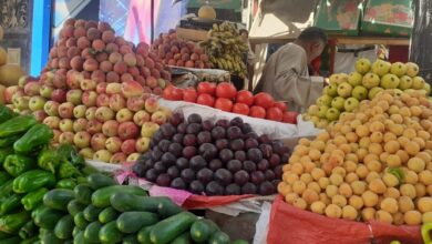 Photo of “الطماطم” تواصل الارتفاع لـ15 جنيه.. تعرف على أسعار الخضروات والفاكهة بأسواق قوص