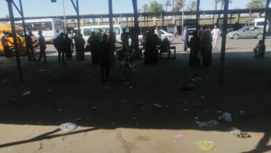 Photo of ”خالٍ من السيارات“.. تكدس المواطنين والطلاب بموقف الأجرة بمدينة قنا