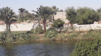 Photo of عشرات المنازل .. ننشر أبرز التعديات على نهر النيل والمجاري المائية بمركز أبوتشت( صور)