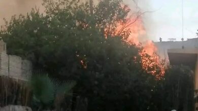 Photo of حريق هائل يلتهم بعض الأشجار خلف مسجد الوزيري بفرشوط