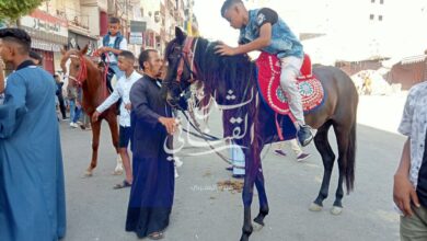 Photo of ركوب الخيل أبرز مظاهر الاحتفال بعيد الأضحى في نجع حمادي بقنا| فيديو