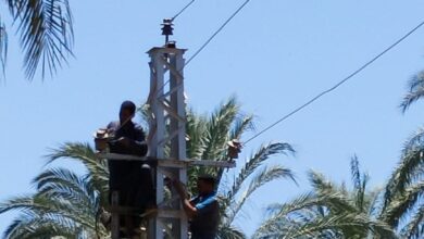 Photo of بعد سقوط جذع نخلة.. محلية قوص تتابع إعادة التيار الكهربائي لقرية الحلة