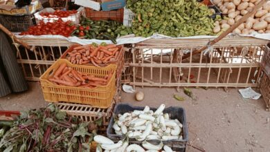 Photo of صور| انخفاض جديد في المانجو.. تعرف على أسعار الخضروات والفاكهة في سوق الوقف