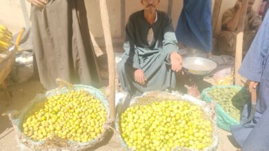 Photo of العم “عيد” 40سنة في بيع الليمون في الأسواق ” الرضا بالقليل سر السعادة”